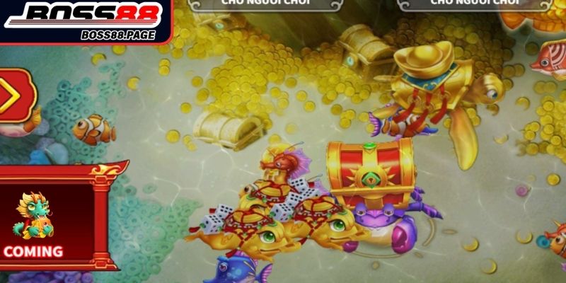 Bắn Cá Rồng Nổ Boss8 - Săn Thưởng Cực Đại, Thắng Dễ Như Chơi 3 Canh vị trí xuất hiện của đàn cá hiếm